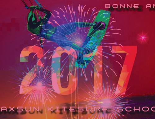 Bonne année 2017 Happy New Year